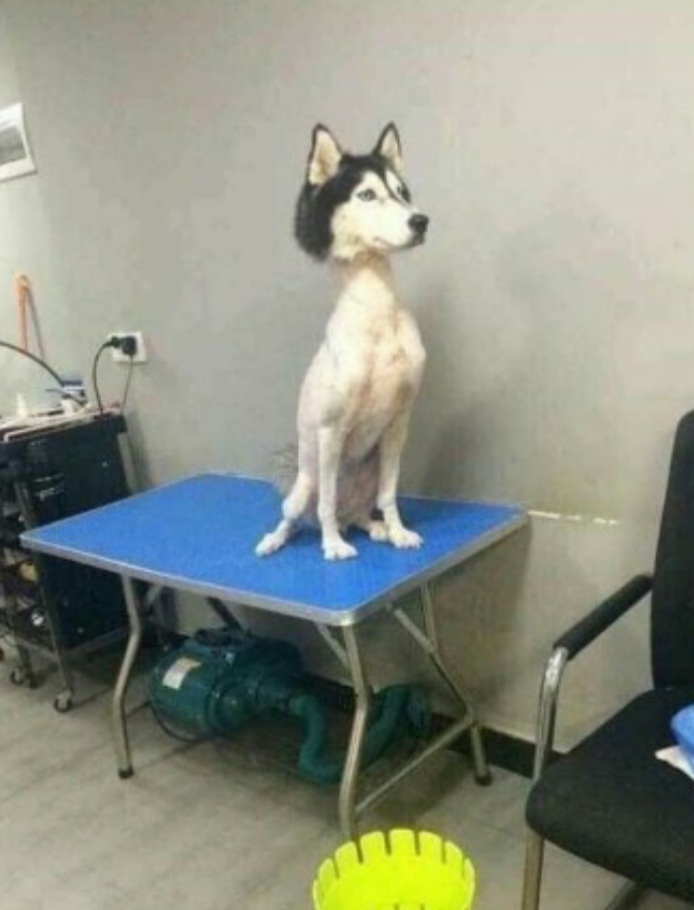 헤어컷 이미지