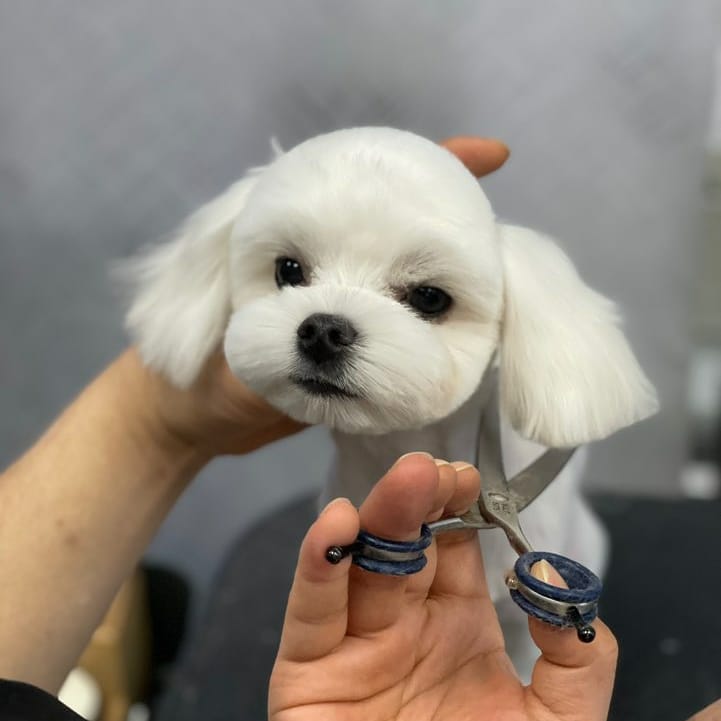 미용타운 이미지