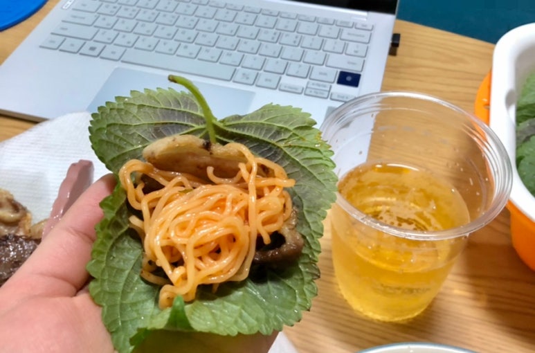 태양미트 이미지