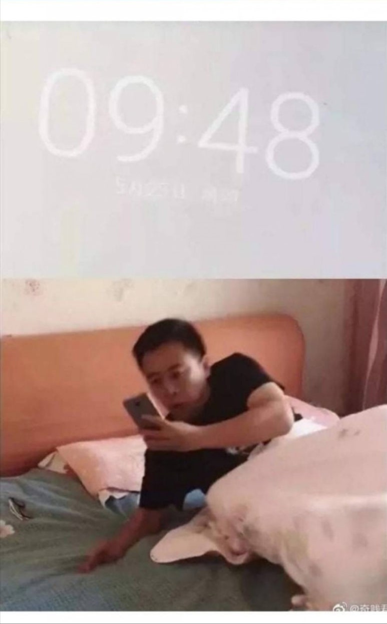 지각 이미지