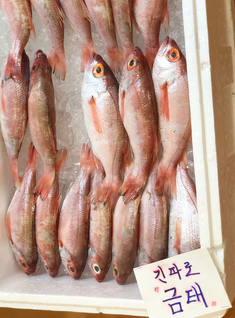 해창상회 이미지