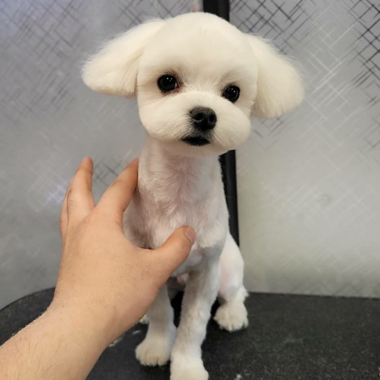 미용타운 이미지