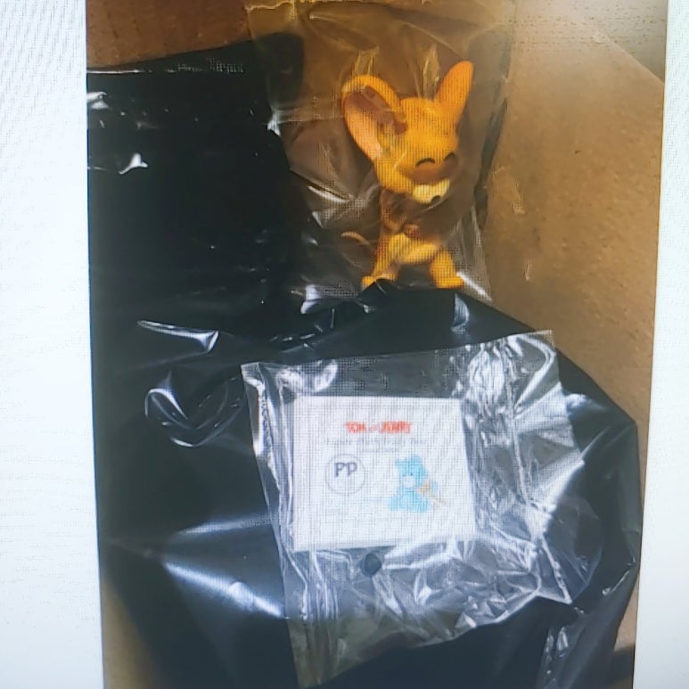 톰비드 이미지