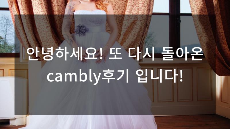 스카이벨로 이미지