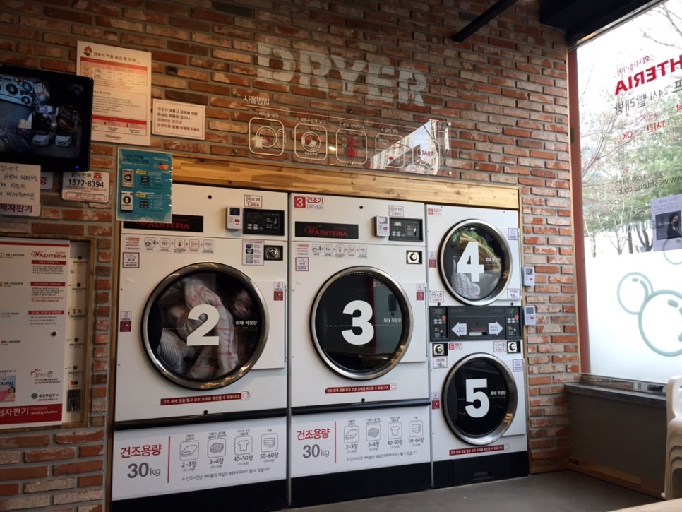 워시테리아전주 이미지