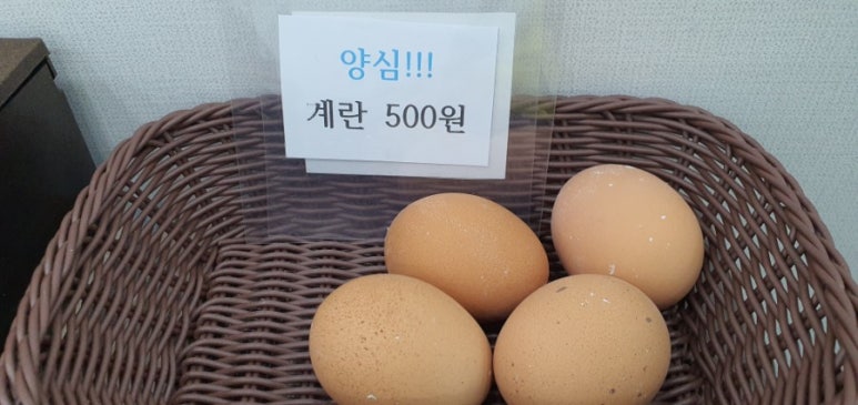 낭만국수 이미지