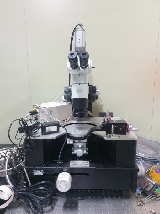 MSTECH 이미지