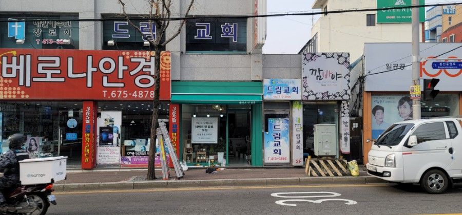 데이즈인블룸 이미지