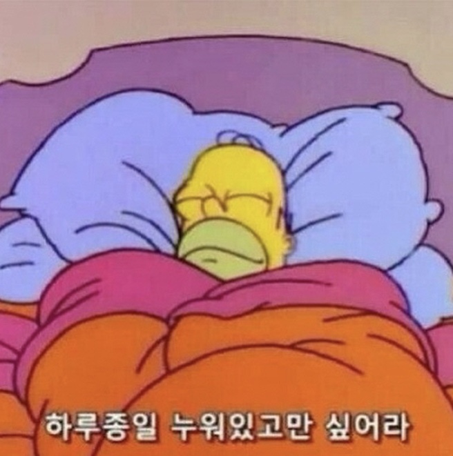 돈친 이미지