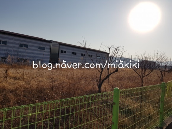 김세중스케이트보드아카데미 이미지