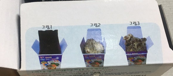 열두개울버섯마을 이미지