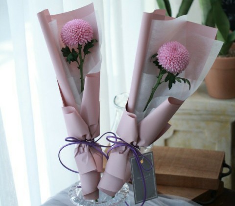 블룸스앤드 이미지