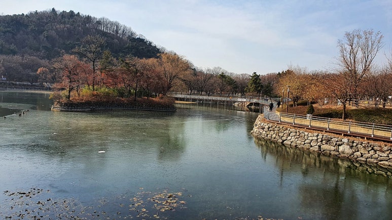나무테크.나무야 이미지