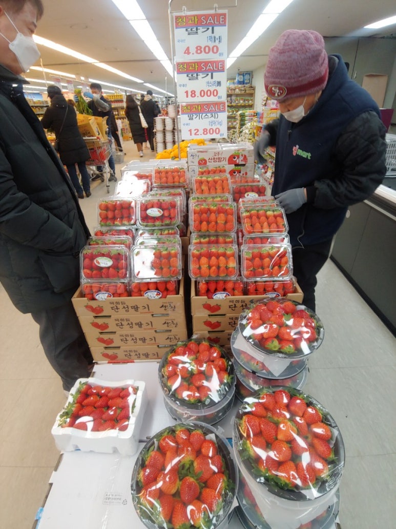 킹마트 이미지