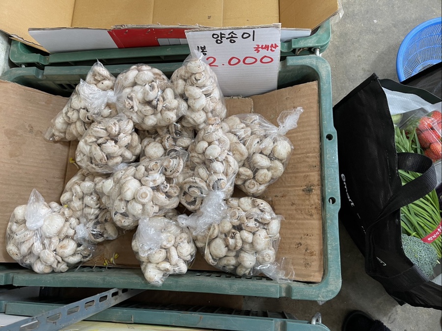 바글바글야채 이미지