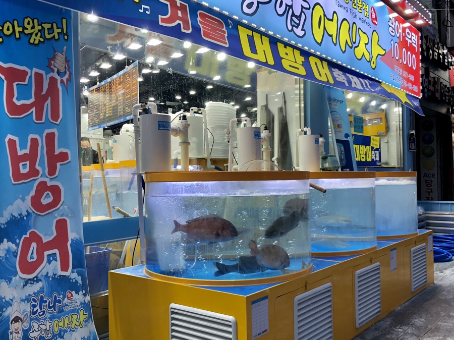활어종합수족관 이미지