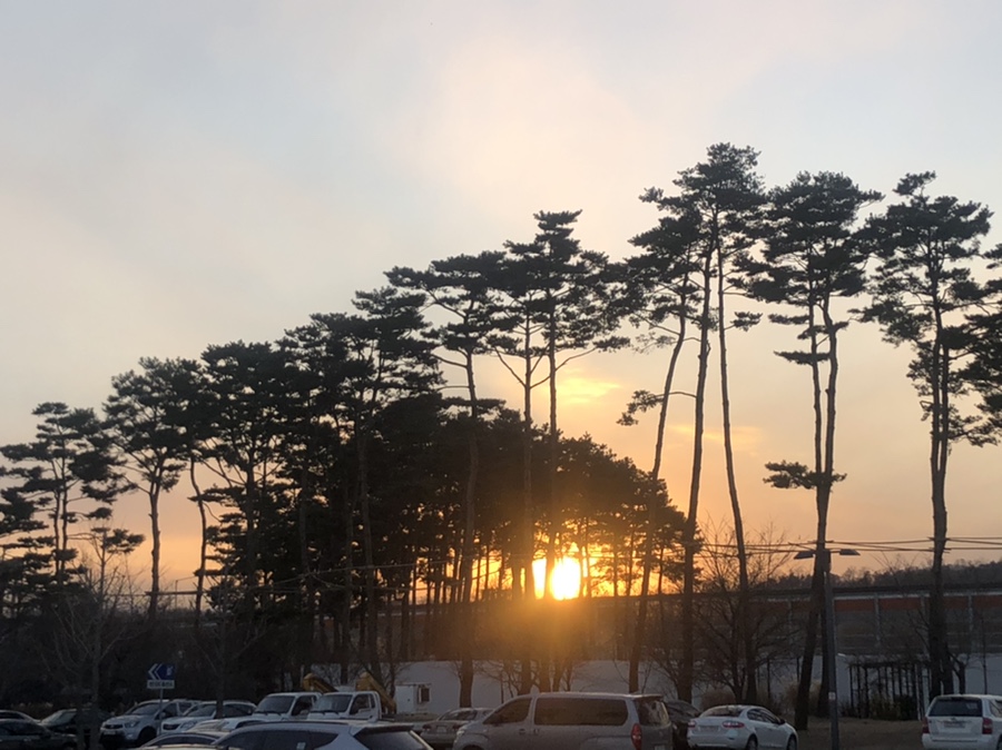 은강참치 이미지