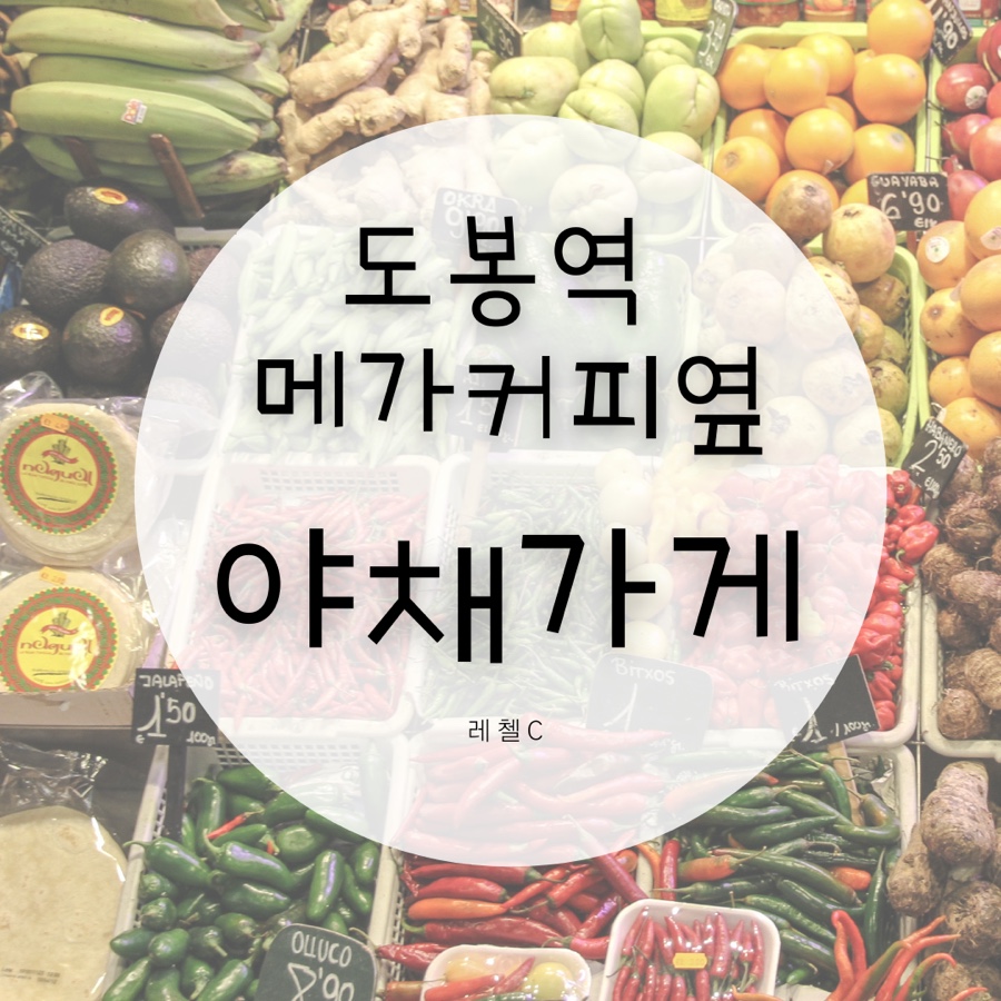 바글바글야채 이미지