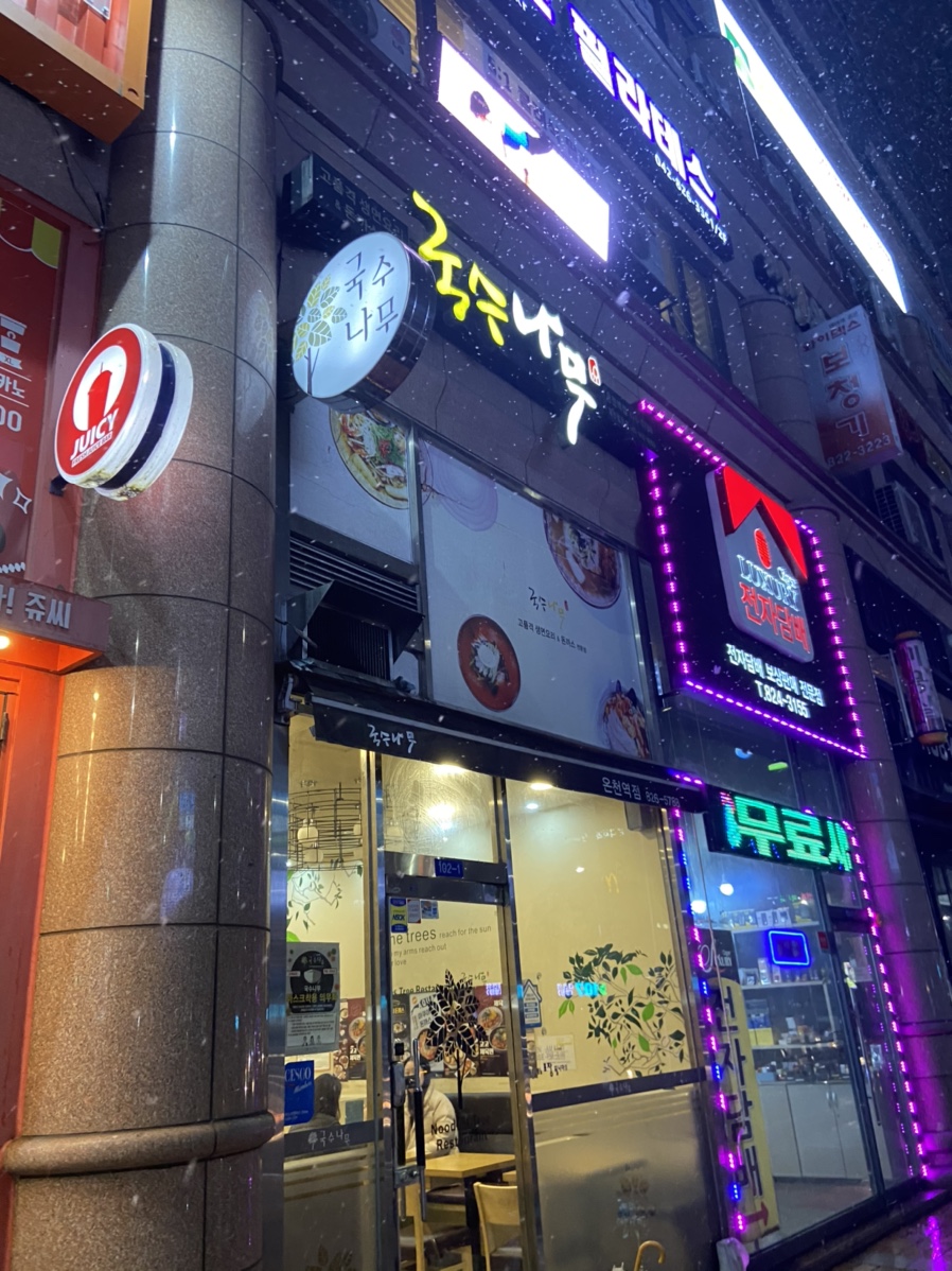 국수나무유성 이미지