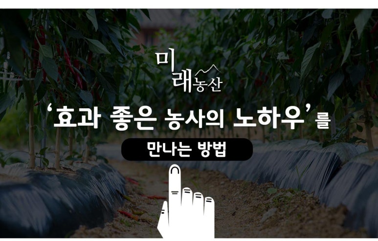 법인미래농산 이미지