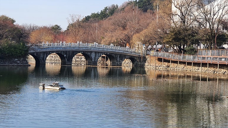 나무테크.나무야 이미지