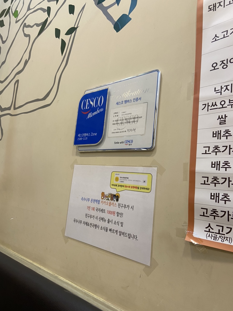 국수나무유성 이미지