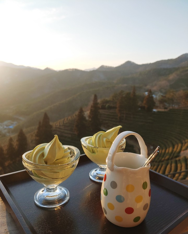 카페초록잎 이미지