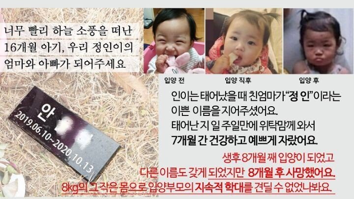 정인컴퓨터 이미지