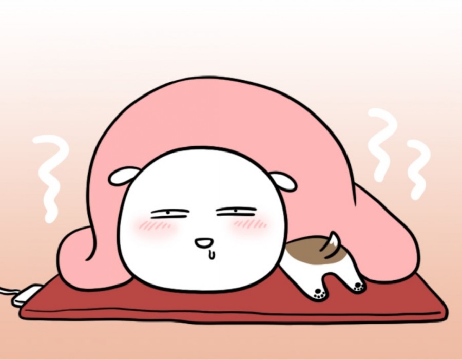 하니앤손스 이미지