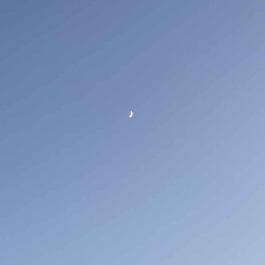 이에르바 이미지
