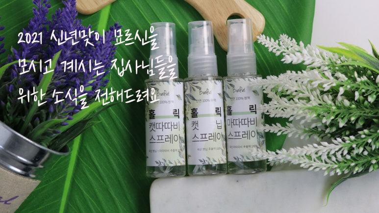 바니홀릭 이미지