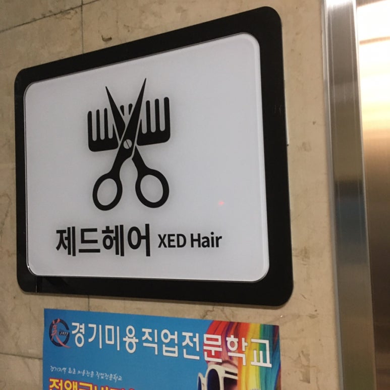 제드헤어 이미지
