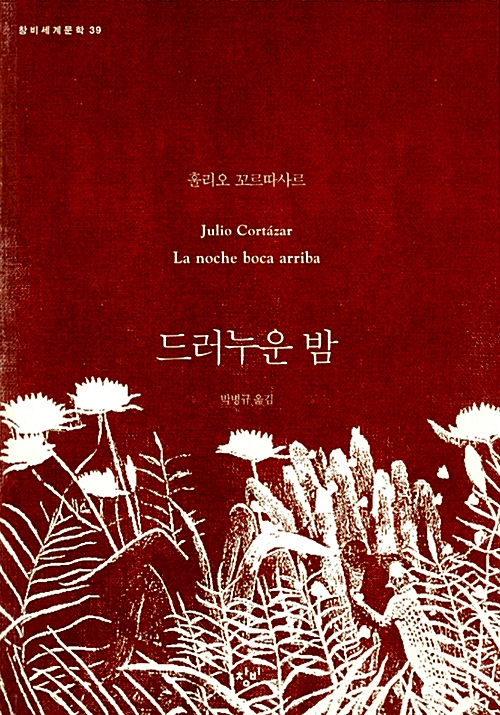 홀리오 이미지