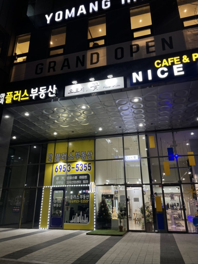 오로지;꽃 이미지