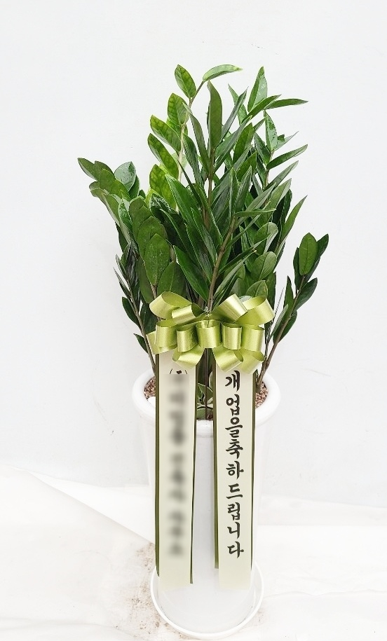 승진상회 이미지