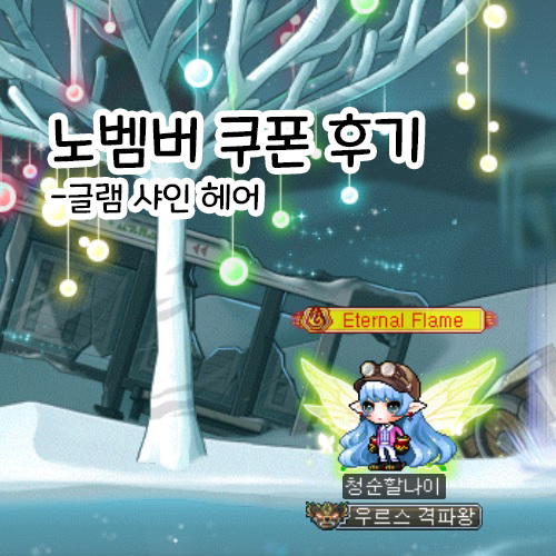 샤인헤어스토리 이미지