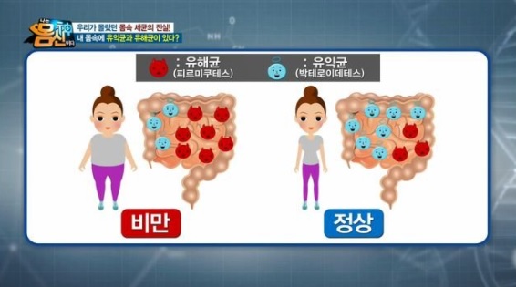클린타파 이미지