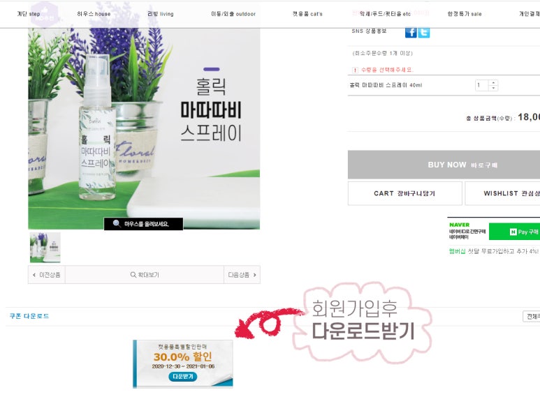 바니홀릭 이미지