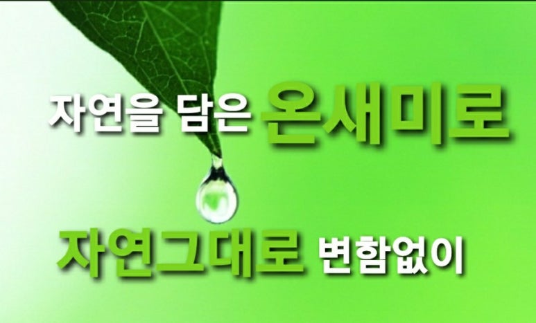 피누스스토어온새미로 이미지
