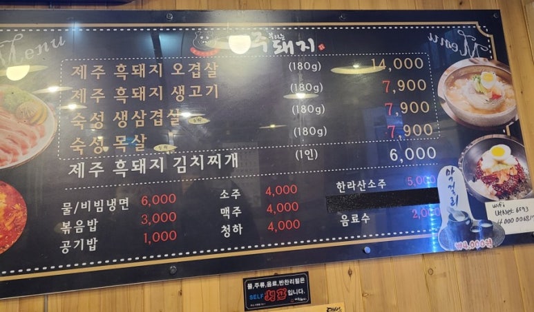 제주부리는돼지 이미지