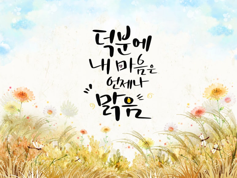 세이사회적협동조합 이미지
