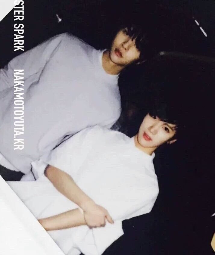리차이 이미지