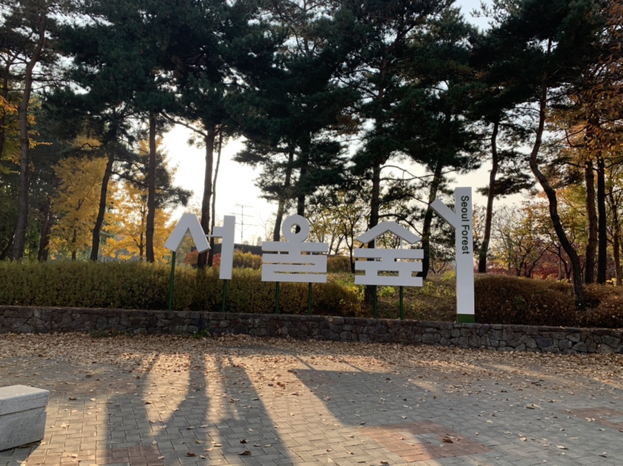 서울칼라１사진관 이미지