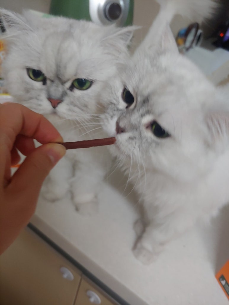 다온협동조합 이미지