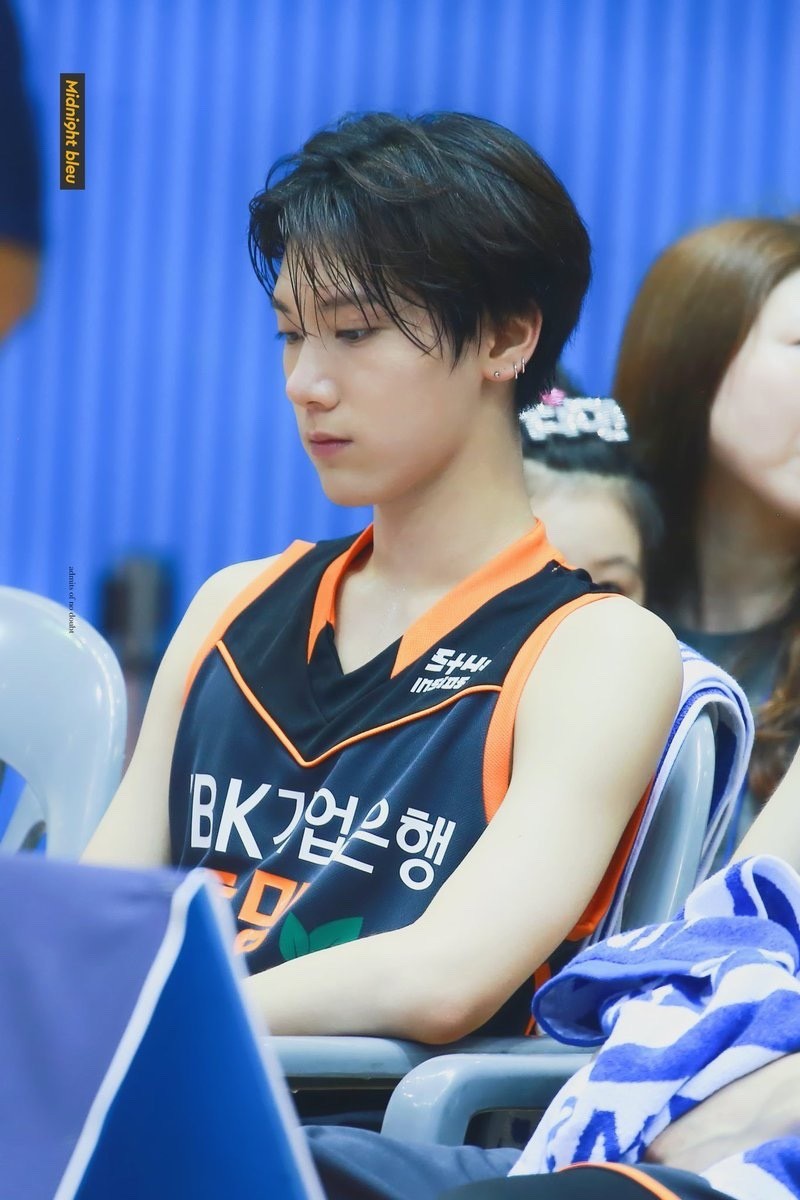 리차이 이미지