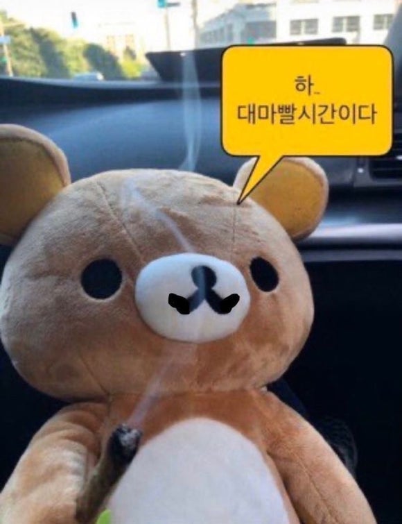 라이징썬 이미지