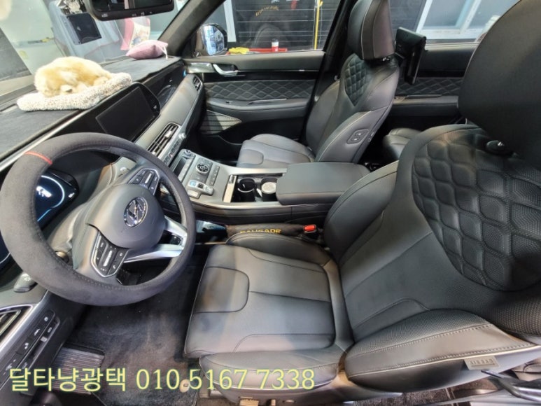 달타냥광택 이미지