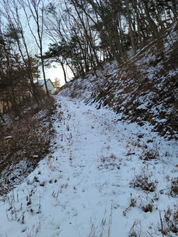 숲과벗 이미지