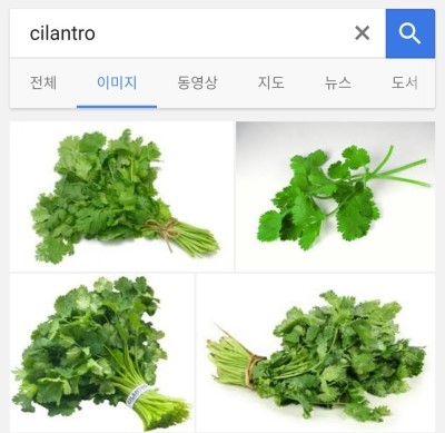 고수 이미지