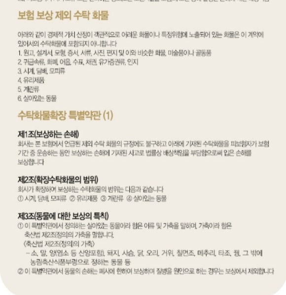 챔프로지스 이미지